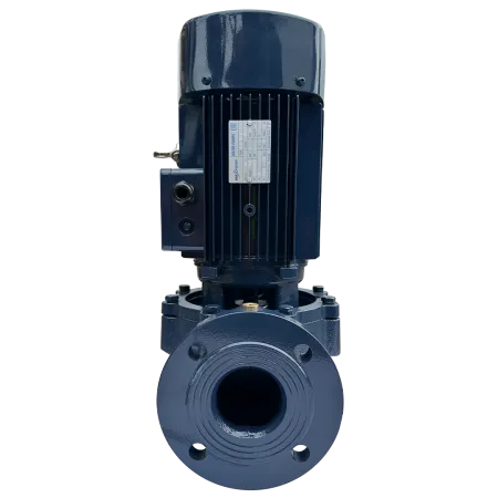 Циркуляционный насос MAXPUMP IL 50-310/22