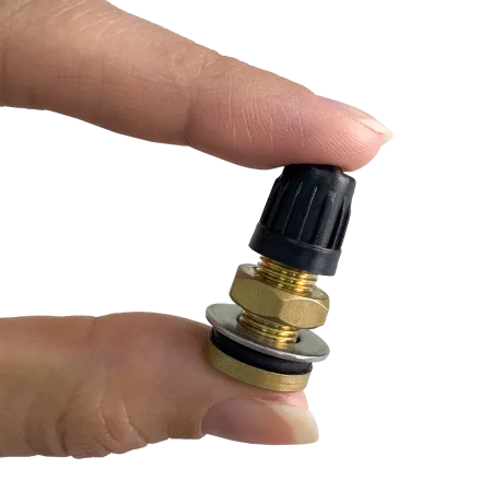 Воздушный клапан мембранного бака MAXPUMP